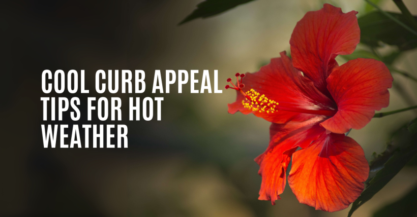 Cool Curb Appeal Tips for Hot Weather
